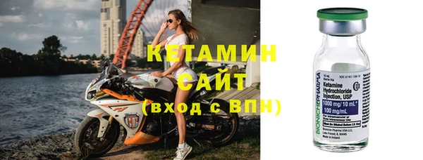 индика Козловка