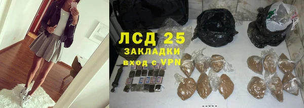 индика Козловка