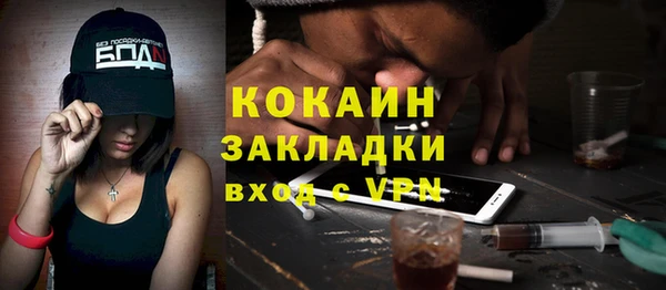 индика Козловка