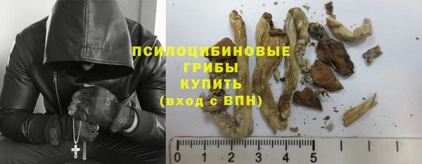 индика Козловка