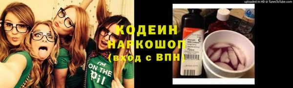 индика Козловка