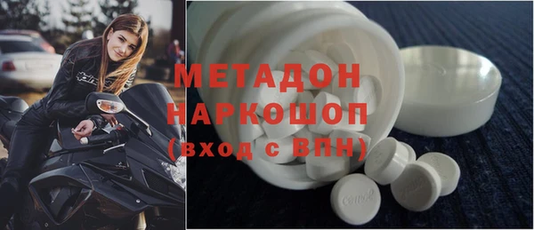 индика Козловка
