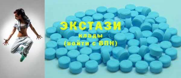 индика Козловка