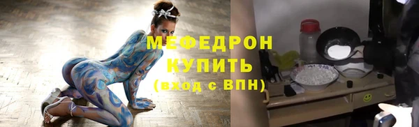индика Козловка