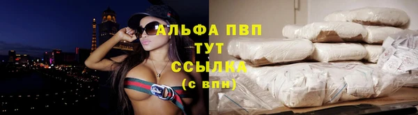 индика Козловка
