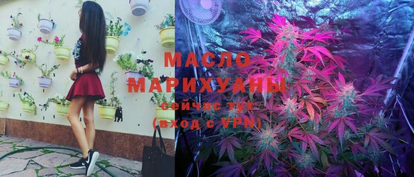 индика Козловка