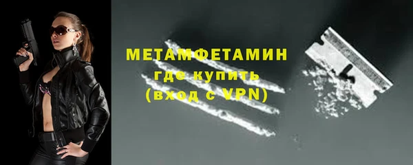 индика Козловка