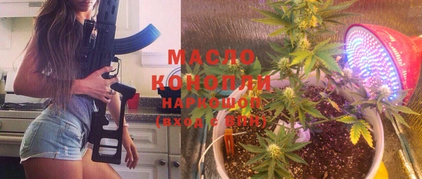 индика Козловка
