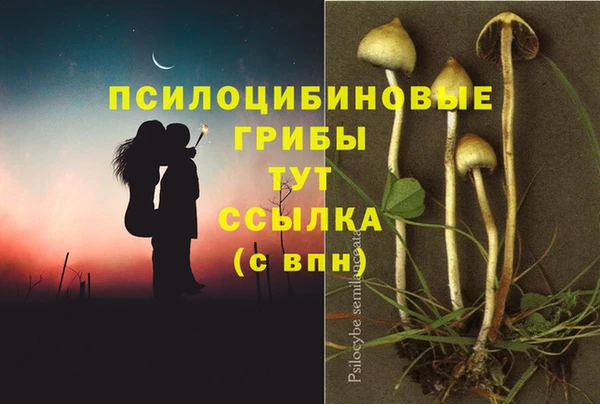 экстази Козельск