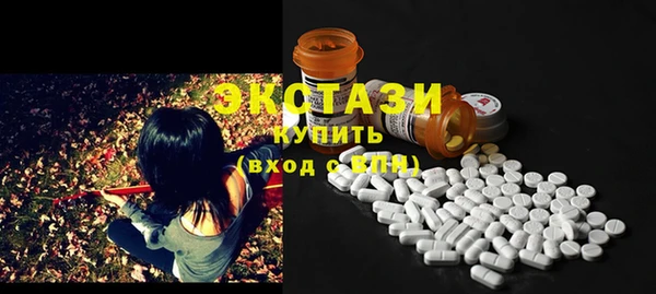 индика Козловка