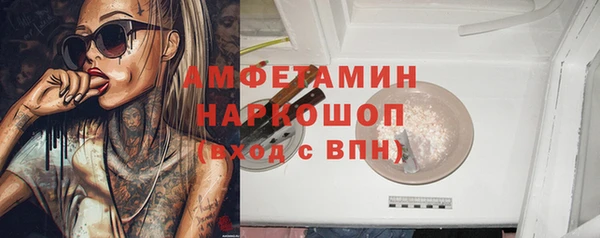 индика Козловка