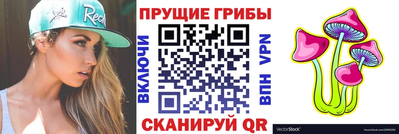 Псилоцибиновые грибы Psilocybe  Купить  Белозерск 